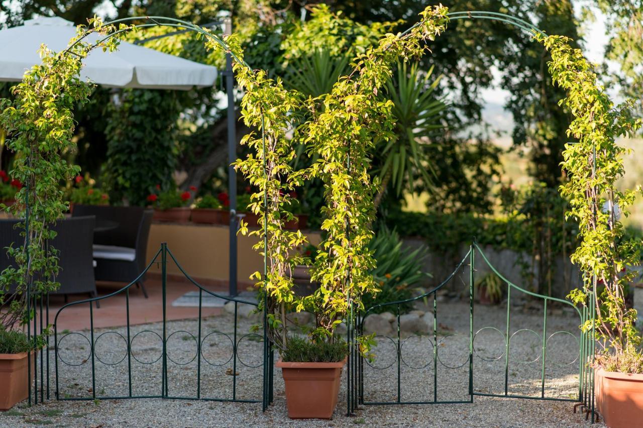 Il Leccio - Casa Toscana San Gimignano 감바시 외부 사진