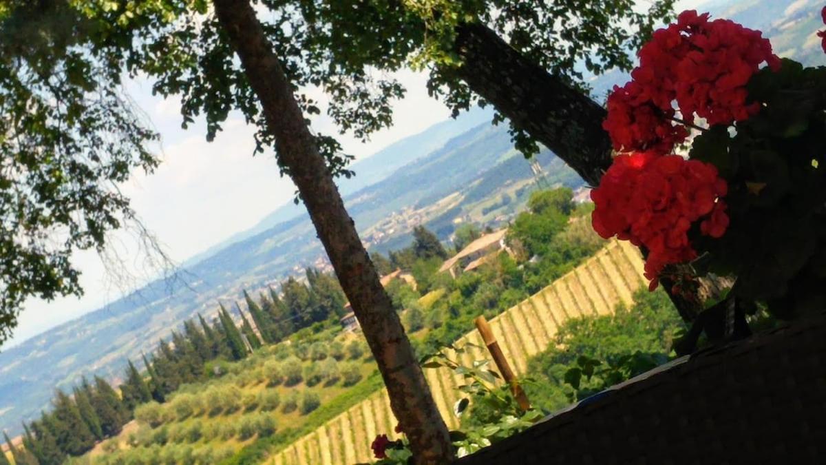 Il Leccio - Casa Toscana San Gimignano 감바시 외부 사진