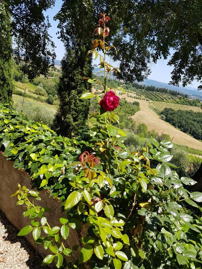 Il Leccio - Casa Toscana San Gimignano 감바시 외부 사진